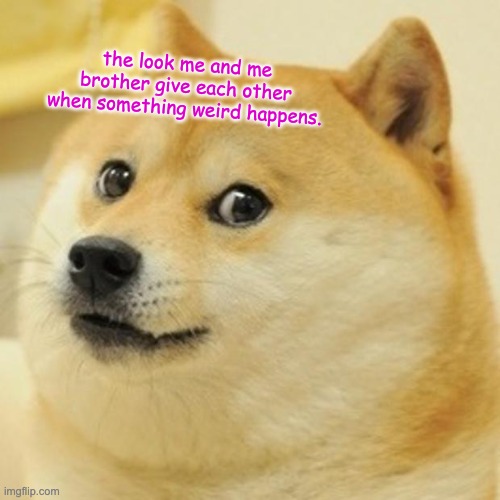 when something weird happens. | the look me and me brother give each other when something weird happens. | image tagged in memes,doge,funny,relatable | made w/ Imgflip meme maker