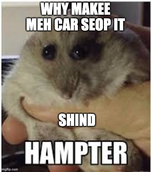 hampter | WHY MAKEE MEH CAR SEOP IT; SHIND | image tagged in hampter | made w/ Imgflip meme maker