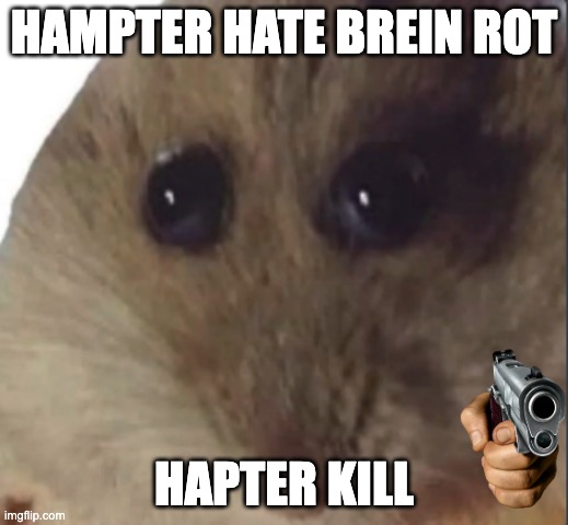 Hampter | HAMPTER HATE BREIN ROT; HAPTER KILL | image tagged in hampter | made w/ Imgflip meme maker