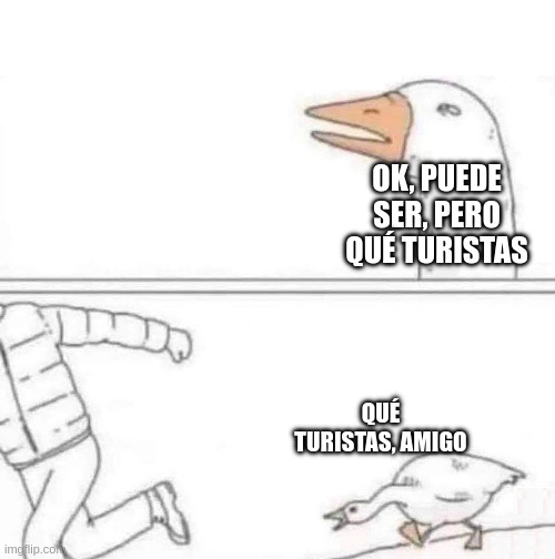 Goose Chase | OK, PUEDE SER, PERO QUÉ TURISTAS; QUÉ TURISTAS, AMIGO | image tagged in goose chase | made w/ Imgflip meme maker