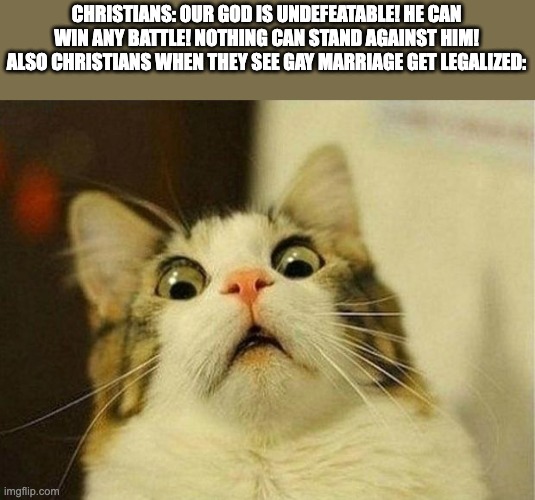 Scared Cat | CHRISTIANS: OUR GOD IS UNDEFEATABLE! HE CAN WIN ANY BATTLE! NOTHING CAN STAND AGAINST HIM!
ALSO CHRISTIANS WHEN THEY SEE GAY MARRIAGE GET LEGALIZED: | image tagged in memes,scared cat,christianity,lgbtq | made w/ Imgflip meme maker