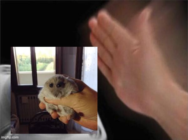 Blank Nut Button | image tagged in memes,blank nut button | made w/ Imgflip meme maker