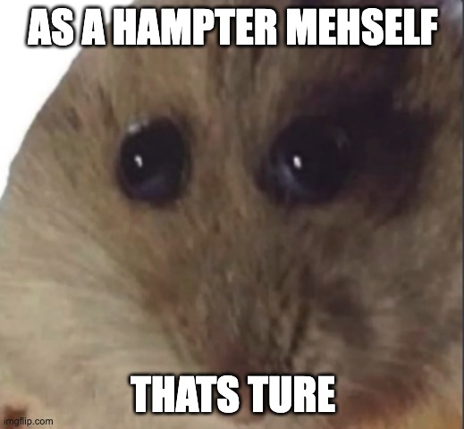 Hampter | AS A HAMPTER MEHSELF THATS TURE | image tagged in hampter | made w/ Imgflip meme maker