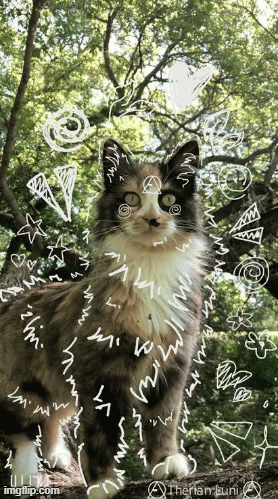 home | image tagged in gifs,therian,furry | made w/ Imgflip images-to-gif maker