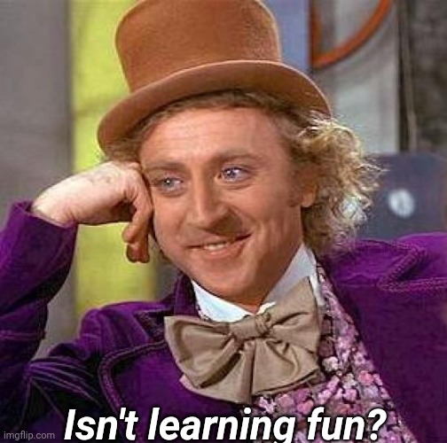 Creepy Condescending Wonka Meme | Isn't learning fun? | image tagged in memes,creepy condescending wonka | made w/ Imgflip meme maker