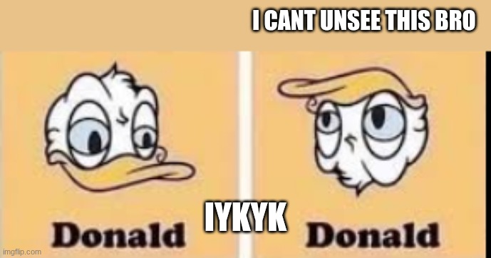 I CANT UNSEE THIS BRO; IYKYK | image tagged in donald duck,donald trump | made w/ Imgflip meme maker