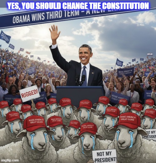 CHANGE THE CONSTITUTION? | YES, YOU SHOULD CHANGE THE CONSTITUTION | image tagged in obama,3rd term,constitution,maga,rigged elections,not my president | made w/ Imgflip meme maker