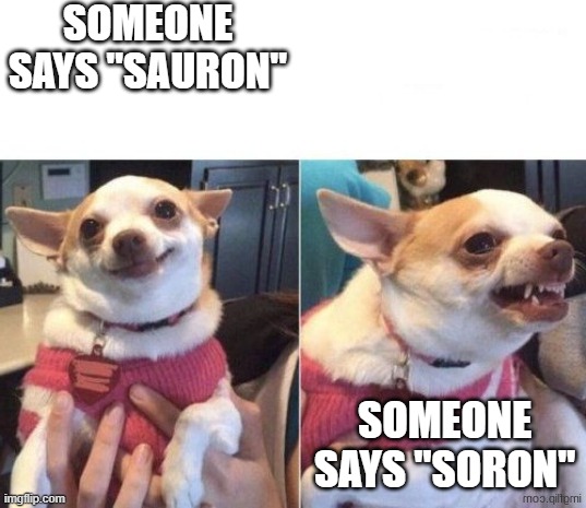Happy Dog Then Angry Dog | SOMEONE SAYS "SAURON"; SOMEONE SAYS "SORON" | image tagged in happy dog then angry dog | made w/ Imgflip meme maker
