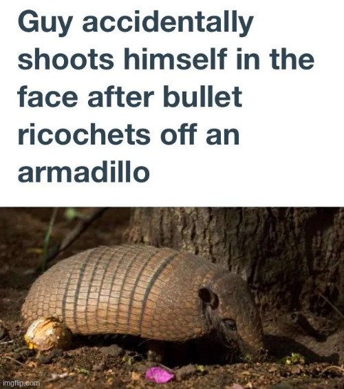 The Living Shield: Bane Of Everything | made w/ Imgflip meme maker