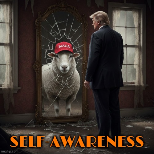 SELF-AWARENESS | SELF-AWARENESS | image tagged in self-awareness,trump,maga,mirror,reflection,sheep | made w/ Imgflip meme maker