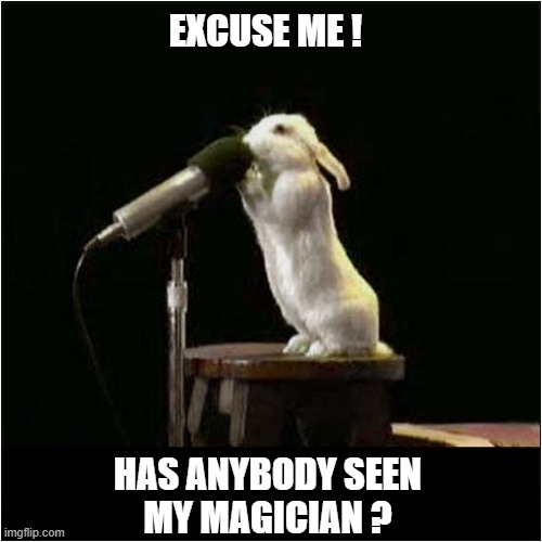 A Lost Rabbit | EXCUSE ME ! HAS ANYBODY SEEN
MY MAGICIAN ? | image tagged in rabbit,white,lost,magician | made w/ Imgflip meme maker