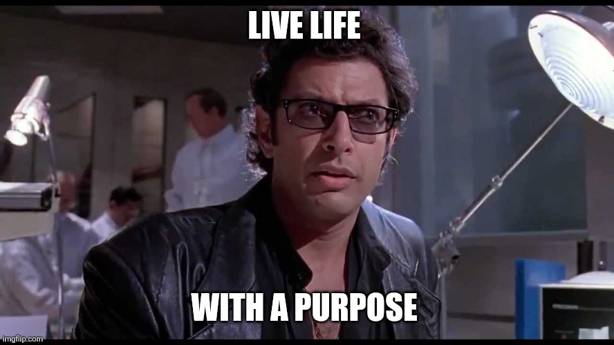 Live life | LIVE LIFE; WITH A PURPOSE | image tagged in life finds a way | made w/ Imgflip meme maker