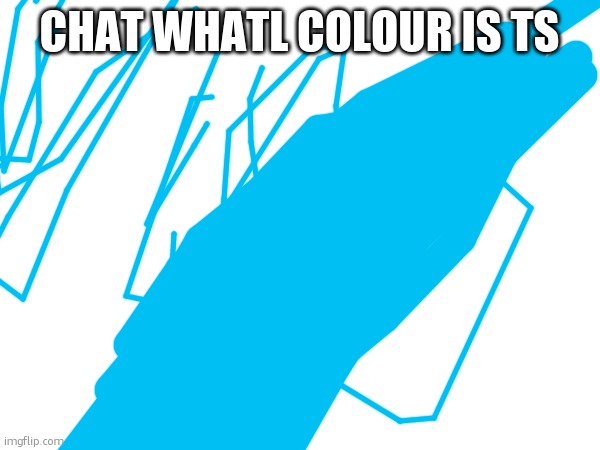 CHAT WHATL COLOUR IS TS | made w/ Imgflip meme maker