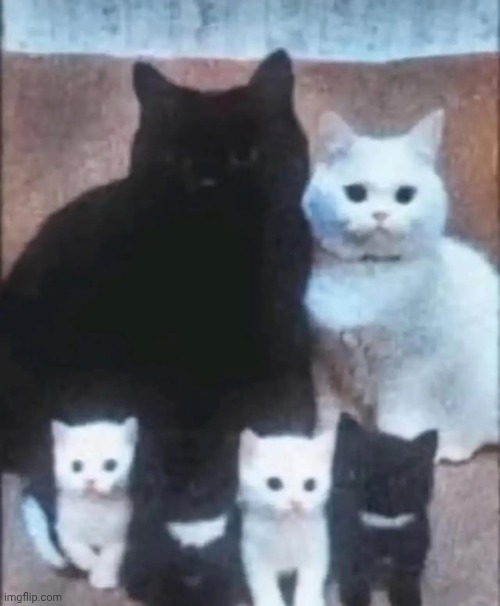 cute family photo | made w/ Imgflip meme maker