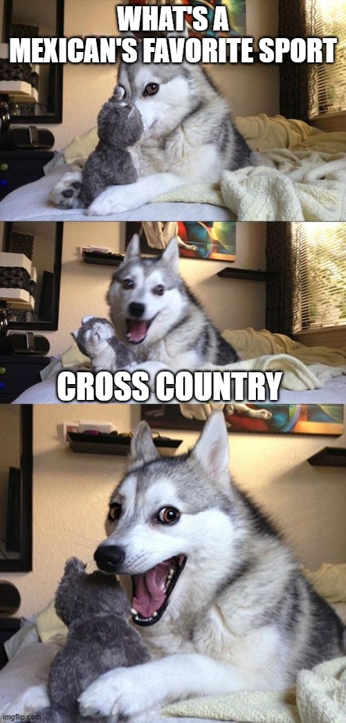 Bad Joke Dog | WHAT'S A MEXICAN'S FAVORITE SPORT; CROSS COUNTRY | image tagged in bad joke dog | made w/ Imgflip meme maker