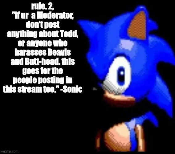 Heres Rule 2!! [to Moderators and soon-to-be followers and users posting.] | rule. 2, "if ur  a Moderator, don't post anything about Todd, or anyone who harasses Beavis and Butt-head. this goes for the people posting in this stream too." -Sonic | image tagged in sonic stares,rules,beavis and butthead | made w/ Imgflip meme maker