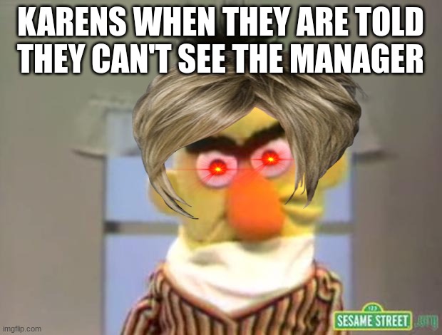 karens in a nutshell | KARENS WHEN THEY ARE TOLD THEY CAN'T SEE THE MANAGER | image tagged in sesame street - angry bert | made w/ Imgflip meme maker