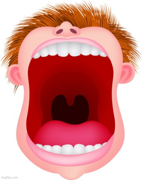 big mouth | image tagged in big mouth | made w/ Imgflip meme maker