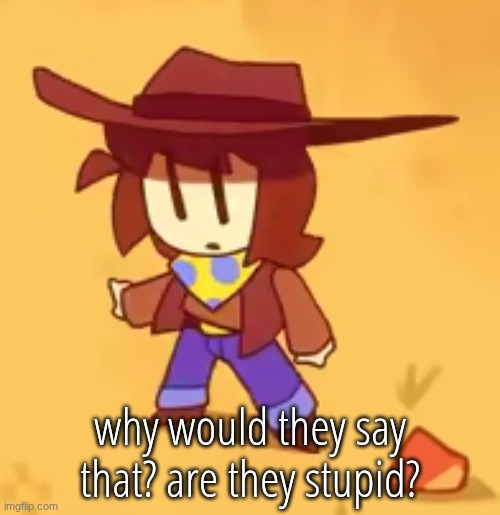 clueless | why would they say that? are they stupid? | image tagged in clueless | made w/ Imgflip meme maker