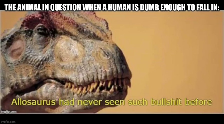 allosaurus had never seen such bullshit before | THE ANIMAL IN QUESTION WHEN A HUMAN IS DUMB ENOUGH TO FALL IN: | image tagged in allosaurus had never seen such bullshit before | made w/ Imgflip meme maker