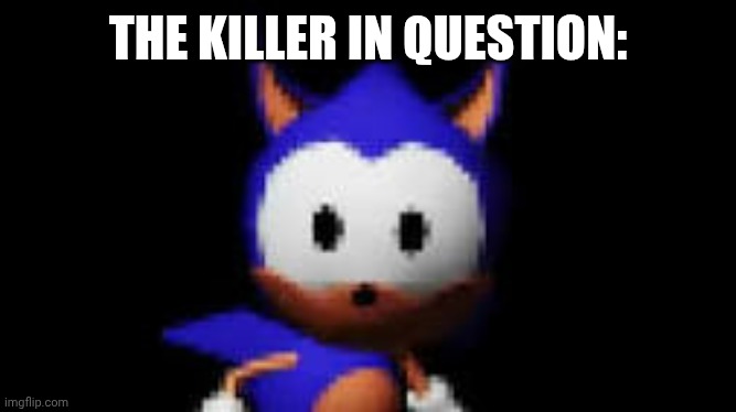 Rewrite Stare | THE KILLER IN QUESTION: | image tagged in rewrite stare | made w/ Imgflip meme maker
