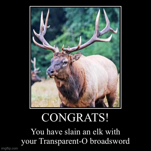 Mr Gum fans will understand the reference | CONGRATS! | You have slain an elk with your Transparent-O broadsword | image tagged in funny,demotivationals,elk,mr gum,mr gum and the goblins,reference | made w/ Imgflip demotivational maker
