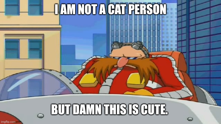 Eggman is Disappointed - Sonic X | I AM NOT A CAT PERSON BUT DAMN THIS IS CUTE. | image tagged in eggman is disappointed - sonic x | made w/ Imgflip meme maker