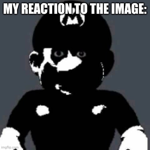 scary mario | MY REACTION TO THE IMAGE: | image tagged in scary mario | made w/ Imgflip meme maker