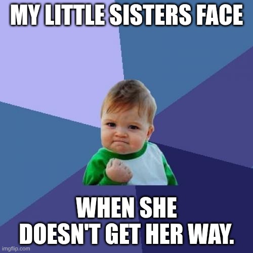 Success Kid Meme | MY LITTLE SISTERS FACE; WHEN SHE DOESN'T GET HER WAY. | image tagged in memes,weird kid | made w/ Imgflip meme maker