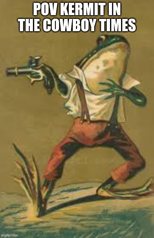 Hippity hoppity frog | POV KERMIT IN THE COWBOY TIMES | image tagged in hippity hoppity frog | made w/ Imgflip meme maker