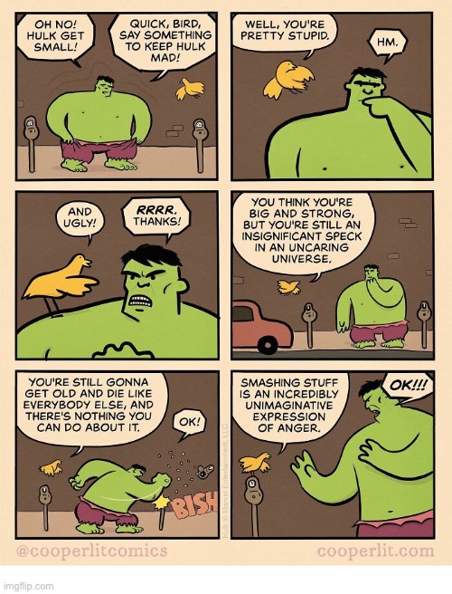 Incredible Hulk pep talk… | image tagged in comics,cooperlit,incredible hulk,bird,angry,pep talk | made w/ Imgflip meme maker