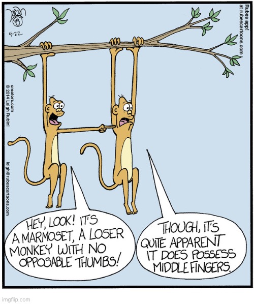 Rubes | image tagged in comics,rubes,monkeys,marmoset,insult,middle finger | made w/ Imgflip meme maker