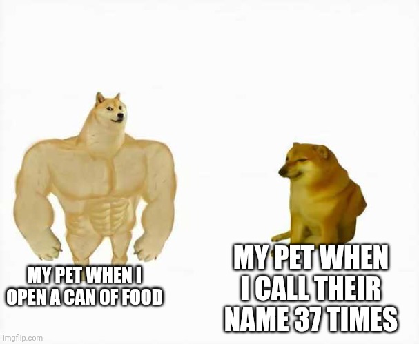Strong dog vs weak dog | MY PET WHEN I OPEN A CAN OF FOOD; MY PET WHEN I CALL THEIR NAME 37 TIMES | image tagged in strong dog vs weak dog | made w/ Imgflip meme maker