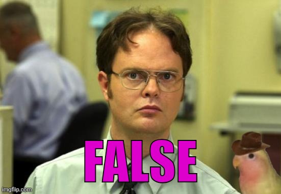 Dwight Schrute Meme | FALSE | image tagged in memes,dwight schrute | made w/ Imgflip meme maker