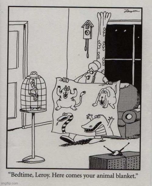 Sadistic bird owner… | image tagged in the far side,comics,bird,blanket,scary | made w/ Imgflip meme maker