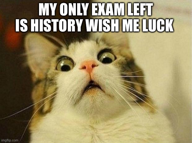 Scared Cat Meme | MY ONLY EXAM LEFT IS HISTORY WISH ME LUCK | image tagged in memes,scared cat | made w/ Imgflip meme maker