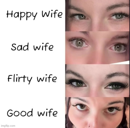 Wives | image tagged in sex jokes | made w/ Imgflip meme maker