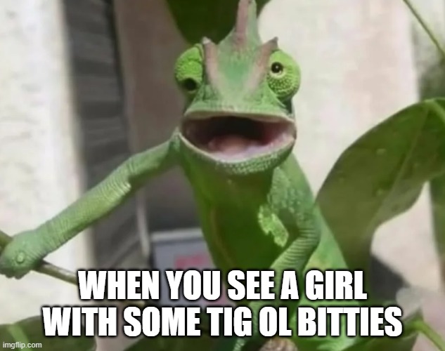 They're Big | WHEN YOU SEE A GIRL WITH SOME TIG OL BITTIES | image tagged in sex jokes | made w/ Imgflip meme maker