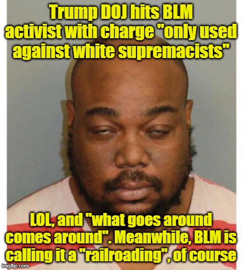 Welcome to the party, pal | Trump DOJ hits BLM activist with charge "only used against white supremacists"; LOL, and "what goes around comes around". Meanwhile, BLM is calling it a "railroading", of course | image tagged in trump,maga,blm | made w/ Imgflip meme maker