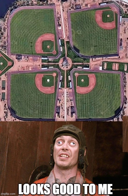 Ballfield Fail? | LOOKS GOOD TO ME | image tagged in steve buschemi crazy euws | made w/ Imgflip meme maker