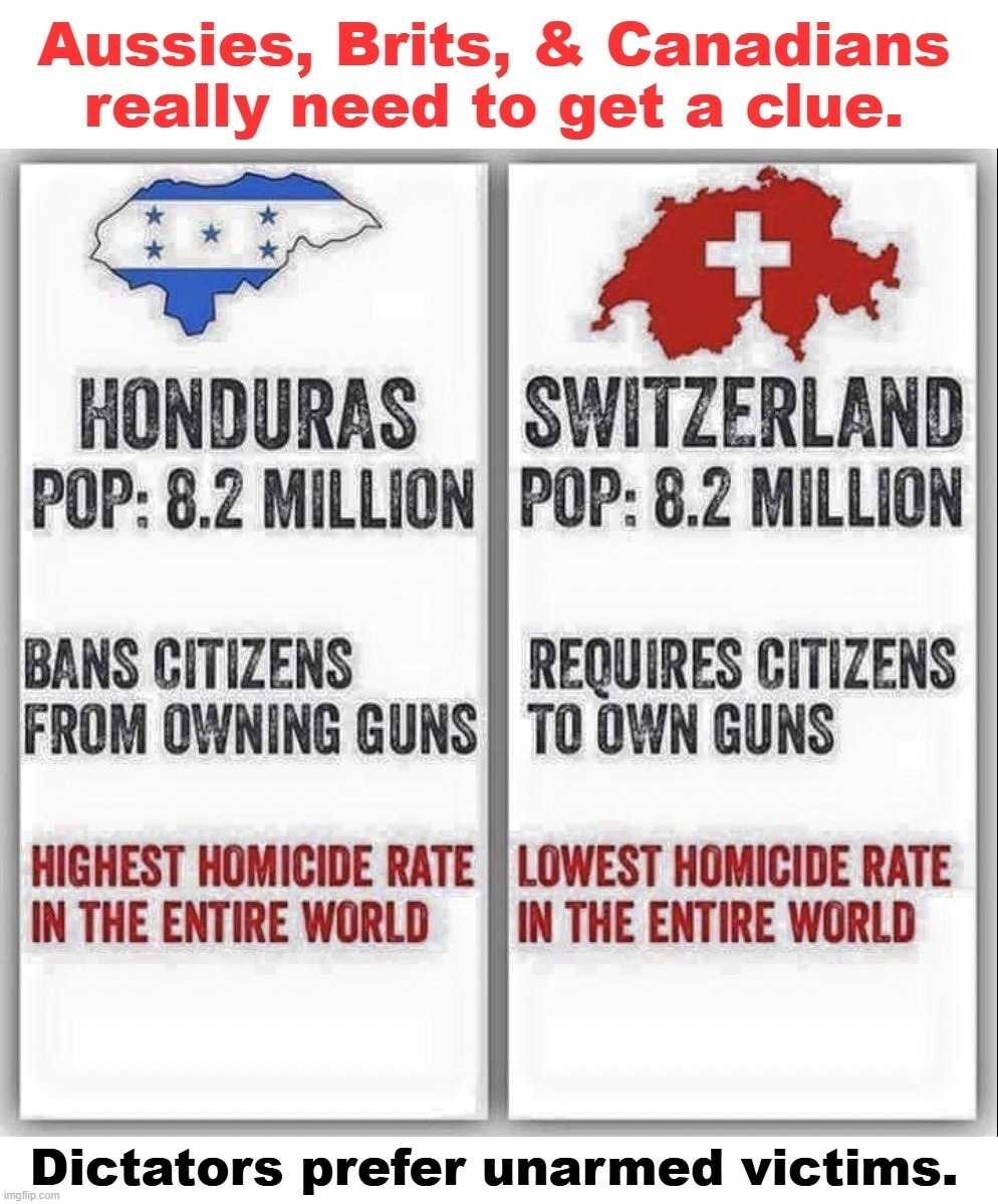 Aussies, Brits, & Canadians really need to get a clue. | image tagged in gun control,gun control works,dictators,adolf hitler,joseph stalin,chairman mao | made w/ Imgflip meme maker