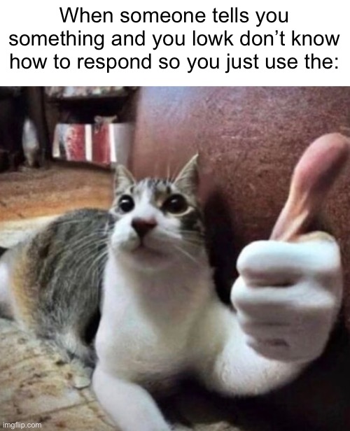 cat thumbs up | When someone tells you something and you lowk don’t know how to respond so you just use the: | image tagged in cat thumbs up | made w/ Imgflip meme maker