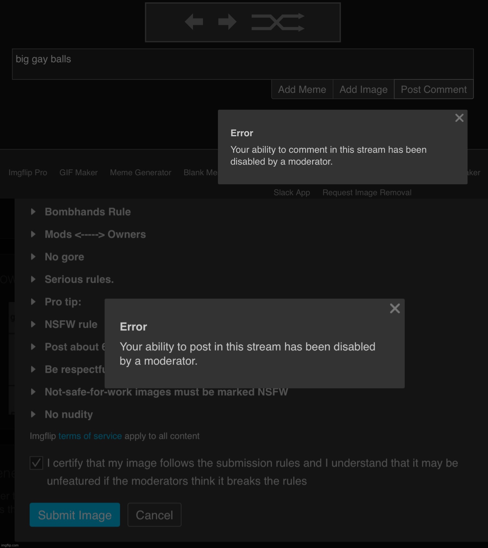 sitewide banned for a month too because of “harassment” (andrew never even gave proof of the harassment ever actually happening) | made w/ Imgflip meme maker