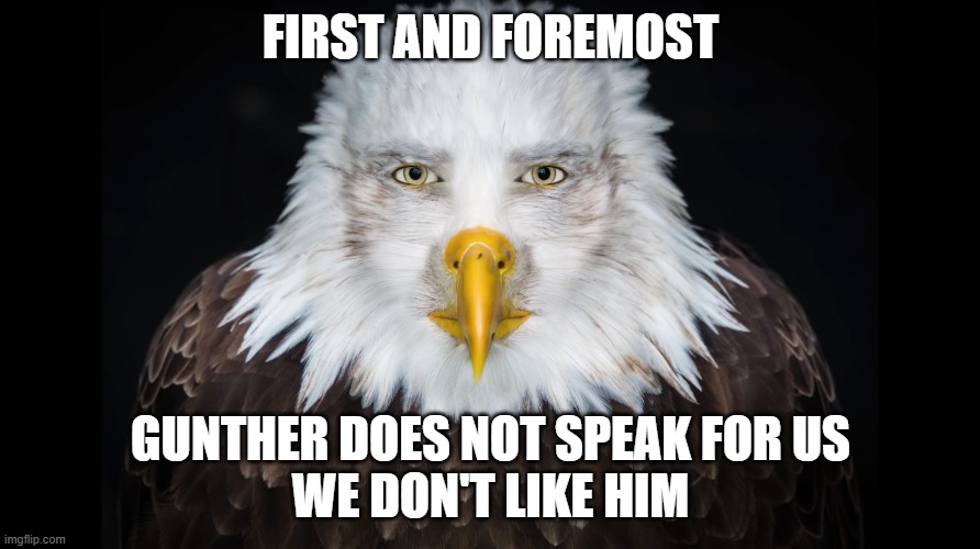 Eagleman is tired of this shit | FIRST AND FOREMOST; GUNTHER DOES NOT SPEAK FOR US
WE DON'T LIKE HIM | image tagged in eagleman is tired of this shit | made w/ Imgflip meme maker