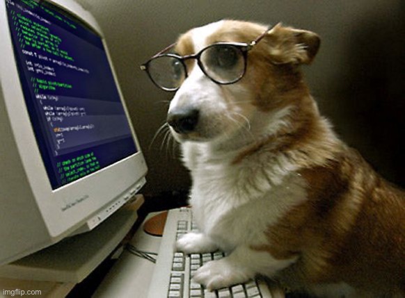 image tagged in corgi hacker | made w/ Imgflip meme maker