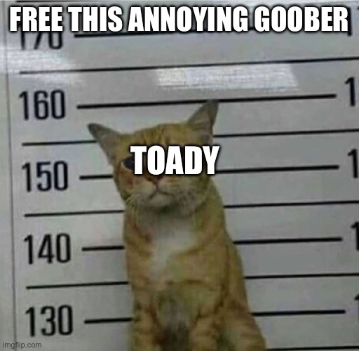 Free my boy | FREE THIS ANNOYING GOOBER; TOADY | image tagged in free my boy | made w/ Imgflip meme maker