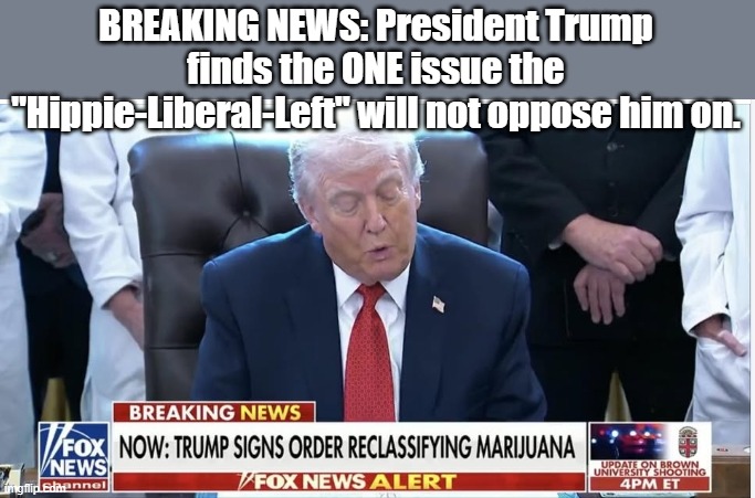 Well, there had to be at least one... | BREAKING NEWS: President Trump finds the ONE issue the "Hippie-Liberal-Left" will not oppose him on. | image tagged in president trump,donald trump,trump,pot,grass | made w/ Imgflip meme maker