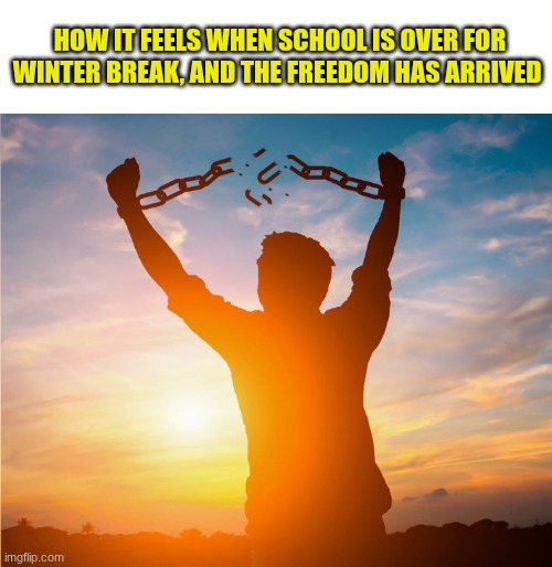 FREEDOM!!!! | HOW IT FEELS WHEN SCHOOL IS OVER FOR WINTER BREAK, AND THE FREEDOM HAS ARRIVED | image tagged in school,school memes,memes,funny,relateable,freedom | made w/ Imgflip meme maker