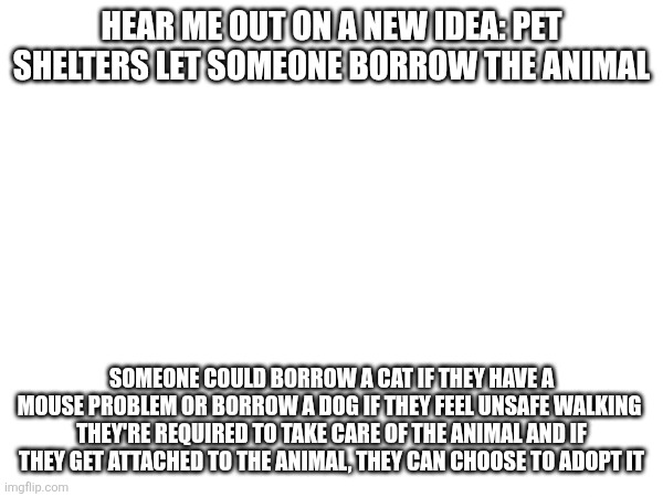 HEAR ME OUT ON A NEW IDEA: PET SHELTERS LET SOMEONE BORROW THE ANIMAL; SOMEONE COULD BORROW A CAT IF THEY HAVE A MOUSE PROBLEM OR BORROW A DOG IF THEY FEEL UNSAFE WALKING 
THEY'RE REQUIRED TO TAKE CARE OF THE ANIMAL AND IF THEY GET ATTACHED TO THE ANIMAL, THEY CAN CHOOSE TO ADOPT IT | made w/ Imgflip meme maker
