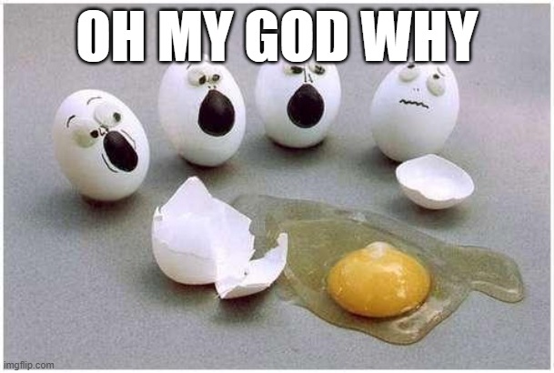 Why | OH MY GOD WHY | image tagged in this broken egg | made w/ Imgflip meme maker